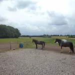 Skovgarden Hillerød