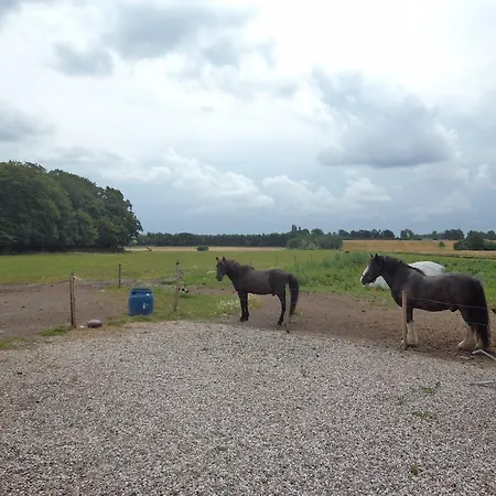 Skovgarden Hillerød